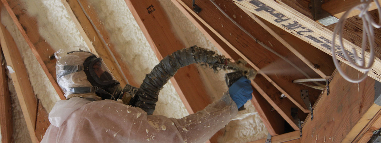 Ottawa Ontario Attic Insulation Spray Foam